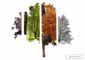 4 PORY ROKU -kaludia wieczorek